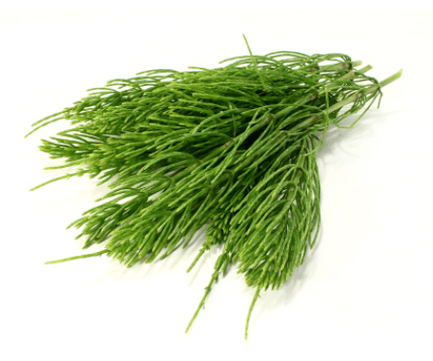 kosa ekstrakts NEOflorax sastāvā