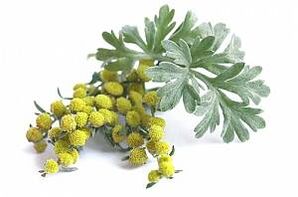 vērmeles ekstrakts sastāvā NEOflorax